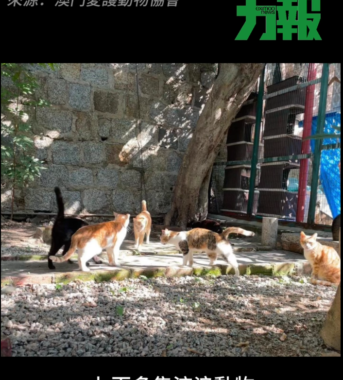 愛協負債百四萬嘆愛莫能助